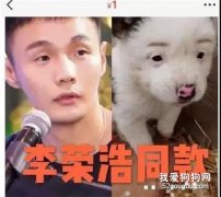 <b>狗狗从1块身价飙到10万，背后的故事...</b>