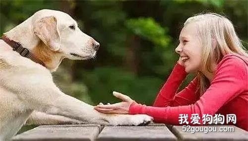 为什么狗狗比猫咪更喜欢亲近人类