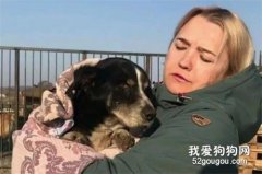 <b>18岁爱犬过世，主人就埋葬了它，没想到它竟复活爬出了墓穴...</b>