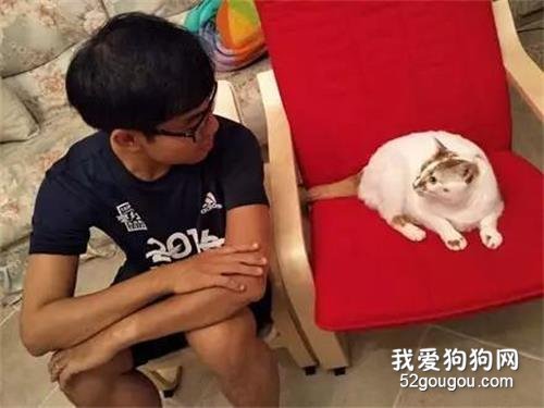 <b>网友买了一大一小两张椅子，打算和猫一人一张，结果有点....</b>