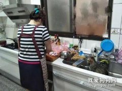 妈妈说晚餐会多一盘肉，猫就全程在洗手槽里盯着，这表情笑死！