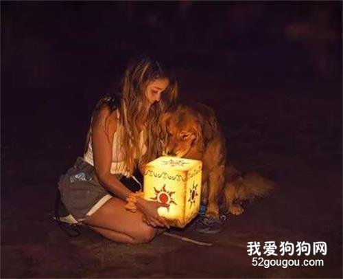 <b>照顾了主人两年，在迪士尼，服务犬终于开心的笑了！</b>