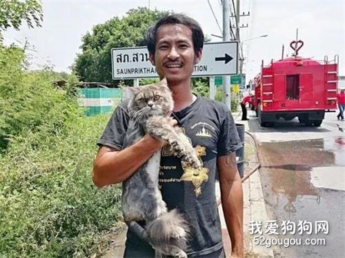 <b>暖男抱猫逃离火海，纵使财物尽失，他一句话把大家感动哭！</b>