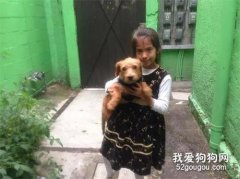 <b>爱犬丢失，7岁小女孩手绘海报，最后终于找回来了.....</b>