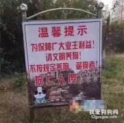 男子不服违规养狗被罚3000元，于是将狗狗做成了火锅