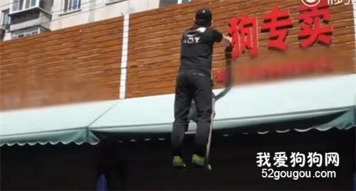 <b>沈阳男女暴力抓狗被曝光后，四家狗肉店相继关门…</b>