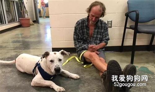 <b>流浪汉倾尽所有也要找到爱犬，而重逢的这一幕真的超泪目...</b>