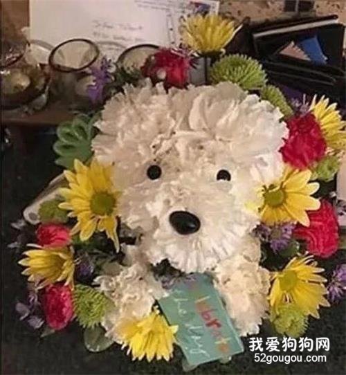 <b>最暖男友！女朋友的爱犬去世，他送了这样一份礼物……</b>