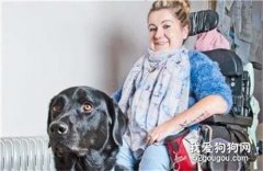 <b>一只服务犬保姆狗狗，拯救了肌肉萎缩患者的生活</b>