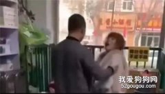 <b>女子连续杀死数十只宠物狗后循环诈骗宠物店</b>