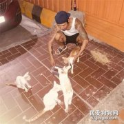 <b>小哥身无分文，却用这种温暖的方式帮助全城的流浪猫！</b>