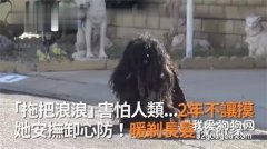 <b>“拖把狗”街头晃荡两年无人靠近，剃去长发后狗生竟出现惊天大逆转！</b>