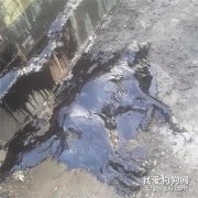 <b>狗狗全身焦油黏在地上，他们花9小时，洗出来了一个惊喜...</b>