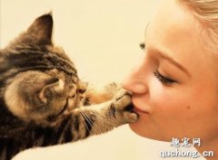 <b>猫为什么喜欢闻主人的嘴巴?</b>