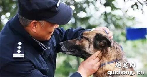 不忍看到退役警犬受折磨，民警自费为它们建养老院！