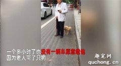 <b>老人带狗酷暑下拦车一个小时接连被拒，狗狗的反应令人泪目：不想拖累主人</b>