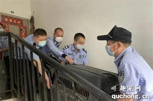 <b>独居老人举债收养29条流浪狗遭投诉 民警的处置暖化了</b>