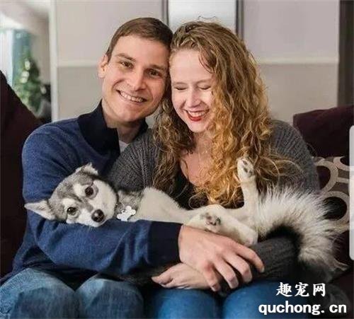 <b>爱犬走失，新娘中断婚礼睡教堂苦等：爸爸去世后，就它陪我了。</b>