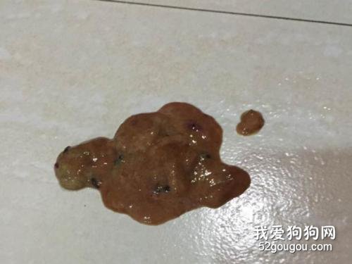 宠物狗狗拉稀怎么办？