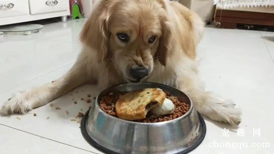 如何训练狗狗护食的坏习惯？