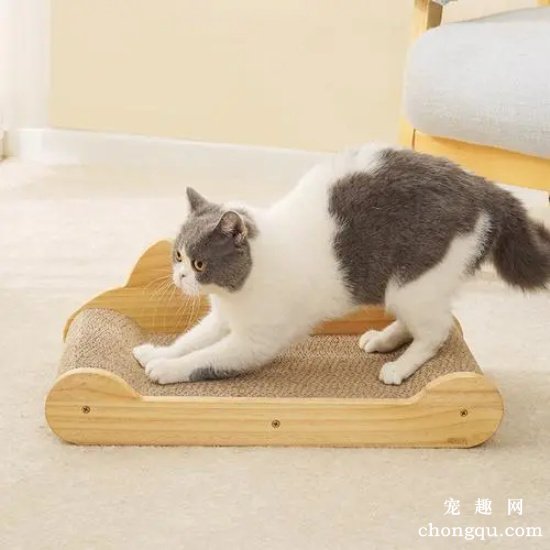 宠物猫使用猫抓板磨爪子有什么用？