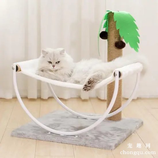 怎样维护和清理宠物猫爬架？