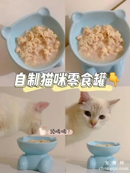 如何自己制作可口的宠物猫罐头