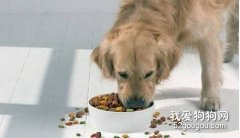 哪些狗狗需要控制食量？